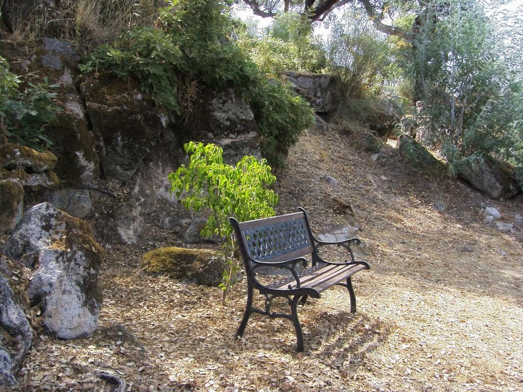 Apartamento Flor da Ramila Marvão Habitación foto